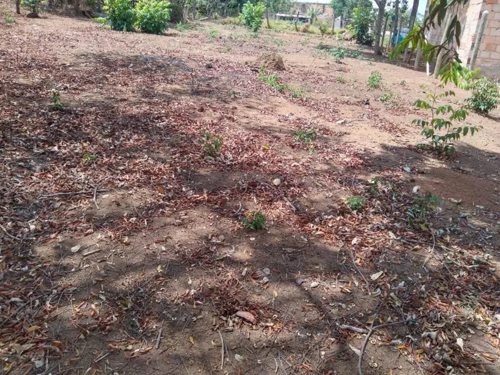 Terreno, 360 m² - Foto 3