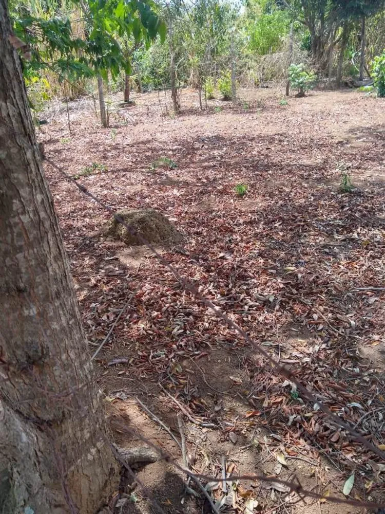 Terreno, 360 m² - Foto 9