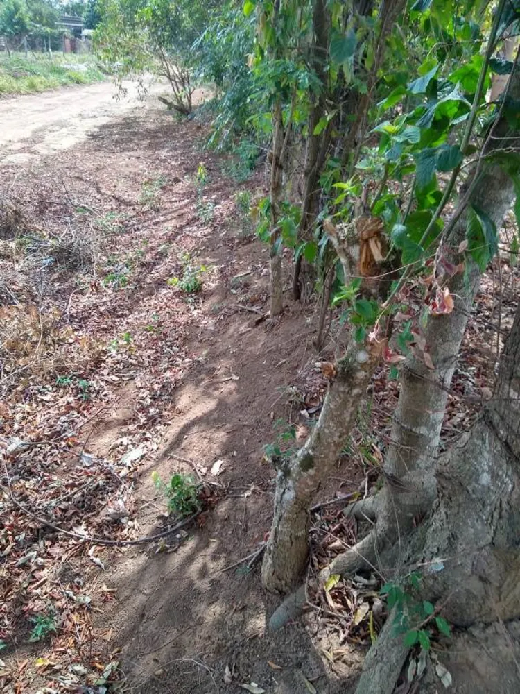 Terreno, 360 m² - Foto 8