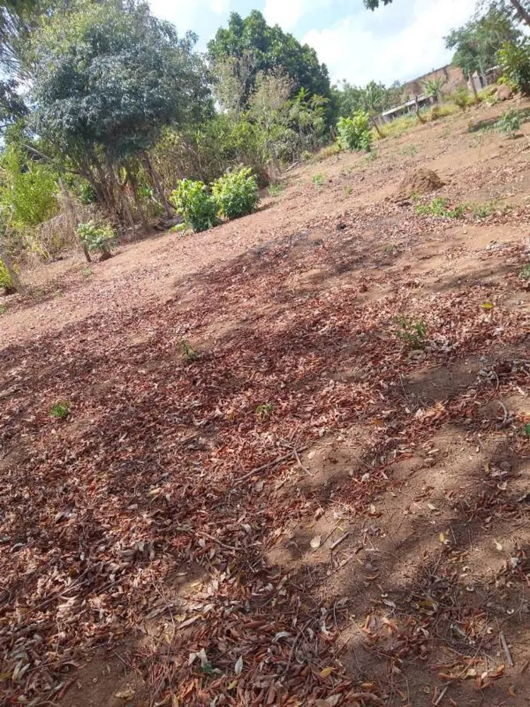 Terreno, 360 m² - Foto 2