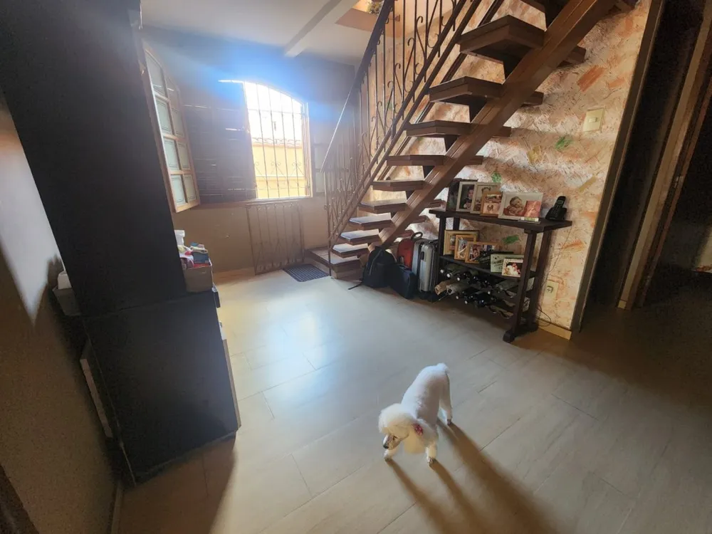 Casa, 6 quartos, 298 m² - Foto 11