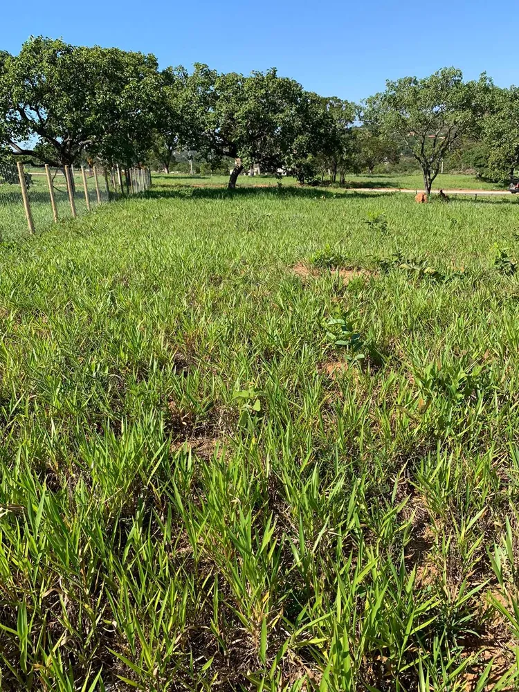 Terreno, 1000 m² - Foto 2