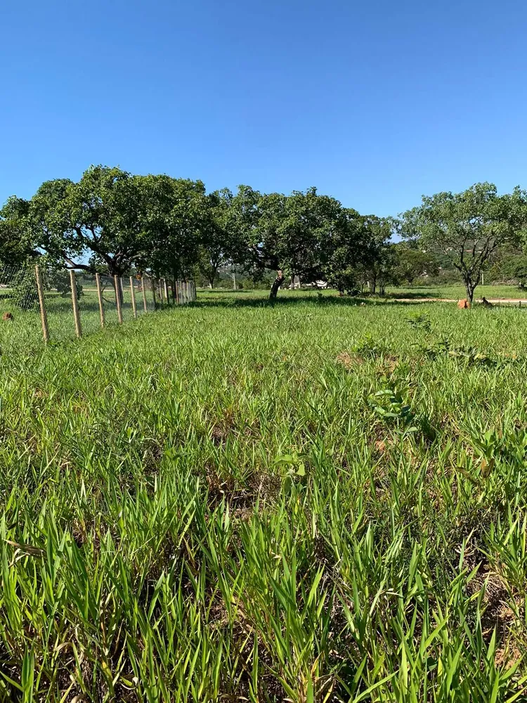 Terreno, 1000 m² - Foto 1