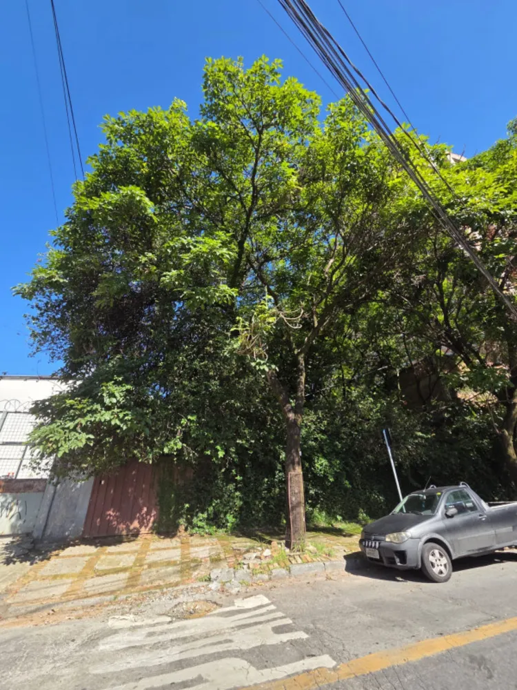 Terreno, 1000 m² - Foto 4