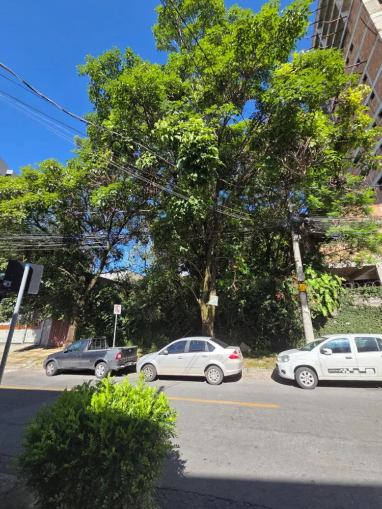 Terreno, 1000 m² - Foto 3