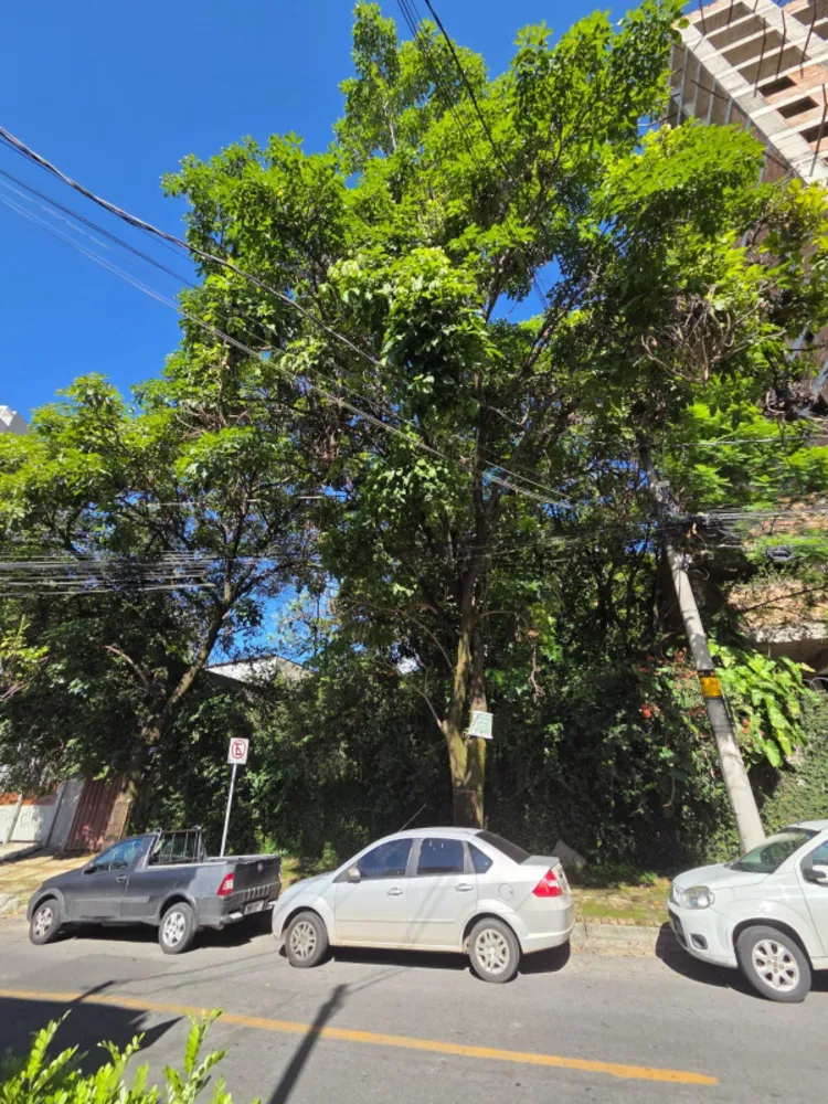 Terreno, 1000 m² - Foto 3