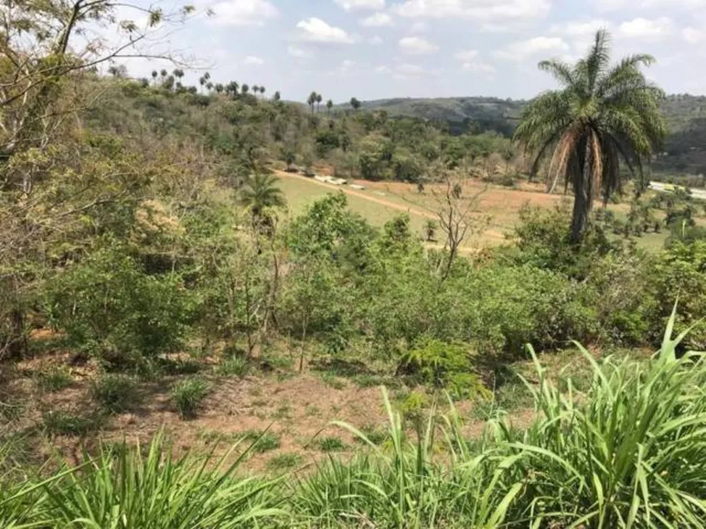 Terreno, 1370 m² - Foto 4