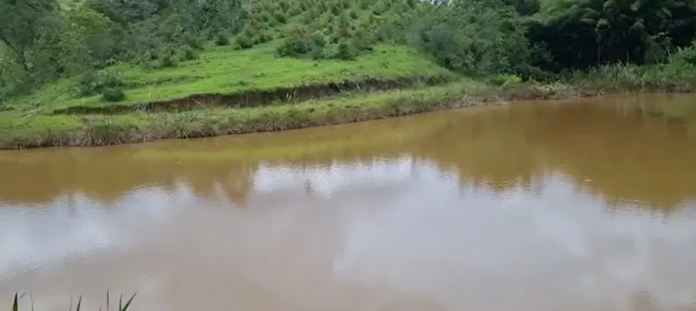 Fazenda, 320 hectares - Foto 7