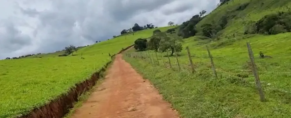 Fazenda, 320 hectares - Foto 3