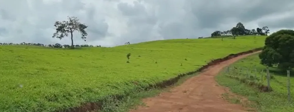 Fazenda, 320 hectares - Foto 1