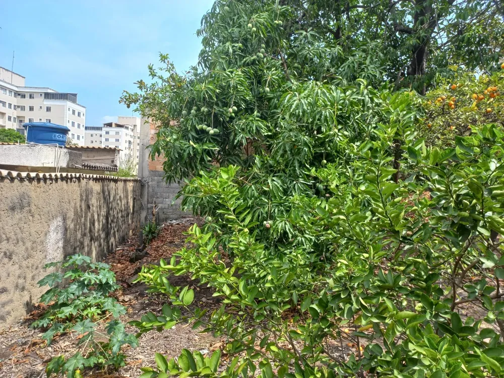 Terreno, 360 m² - Foto 4