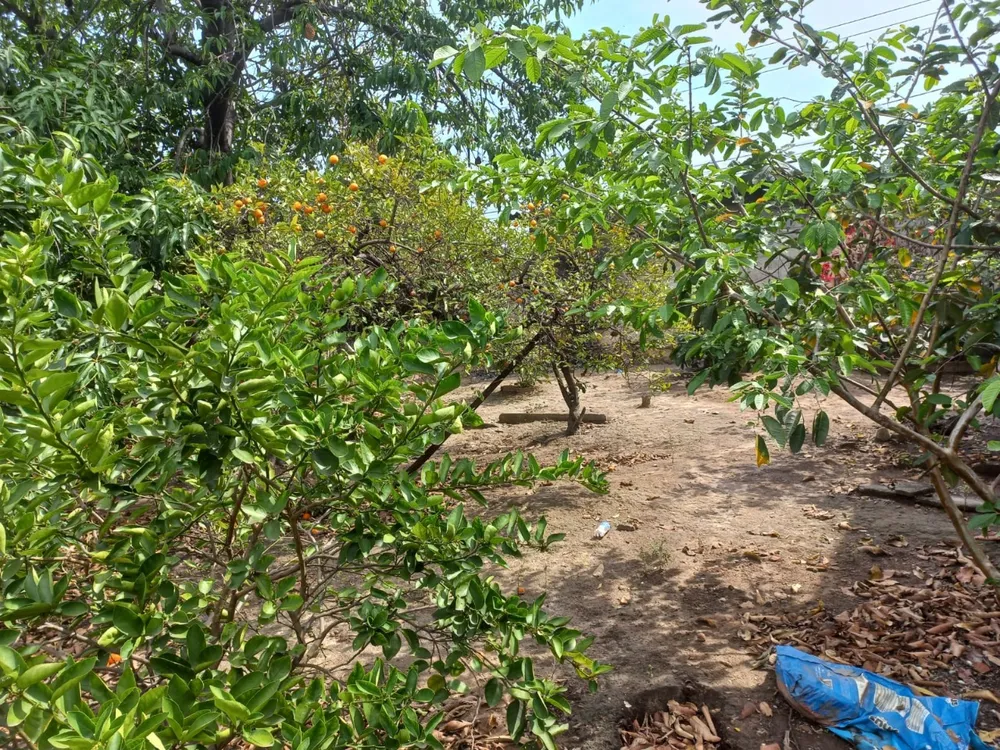 Terreno, 360 m² - Foto 1
