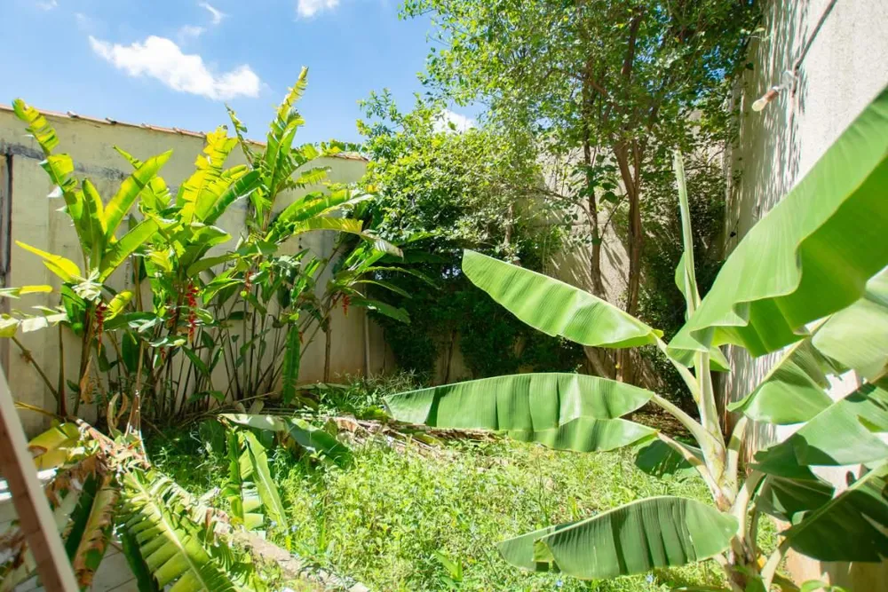 Casa, 5 quartos, 217 m² - Foto 8