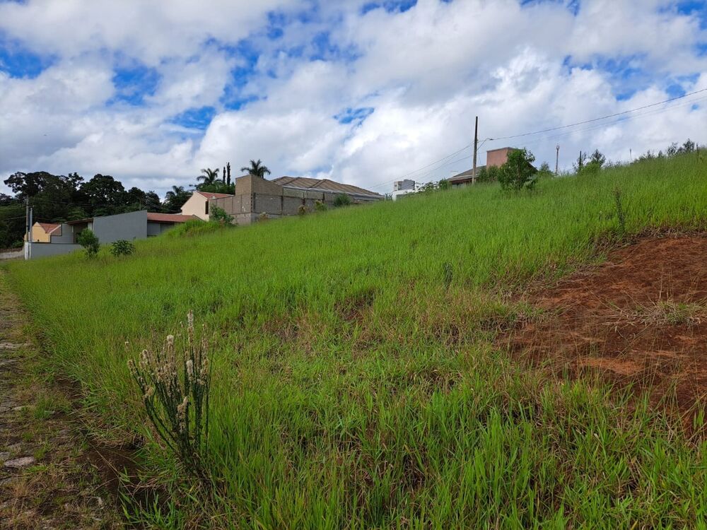 Terreno à venda, 204m² - Foto 3