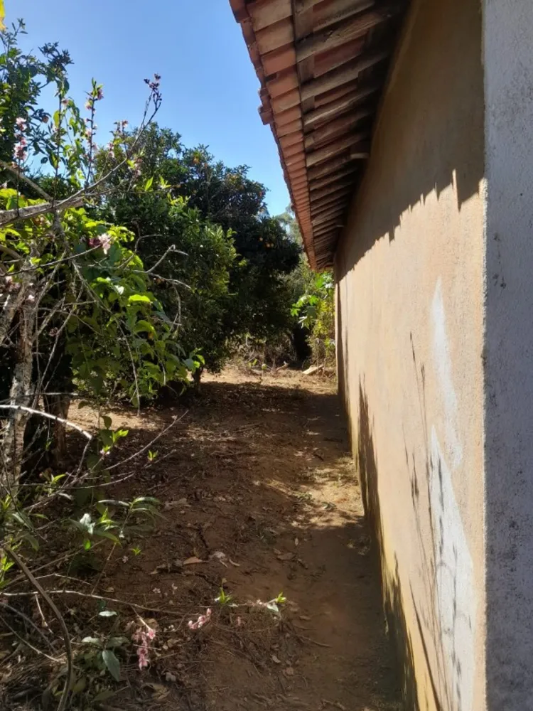 Terreno, 9 hectares - Foto 6