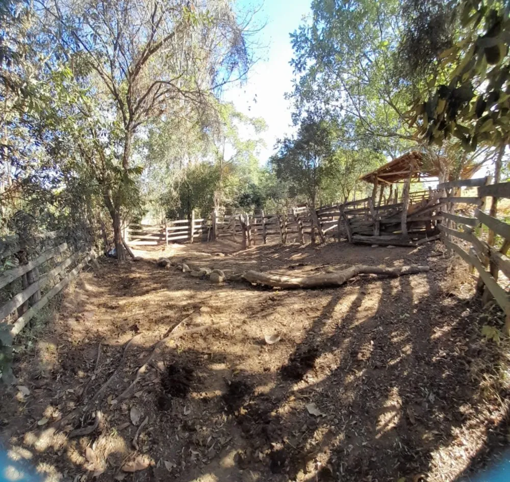 Terreno, 9 hectares - Foto 3