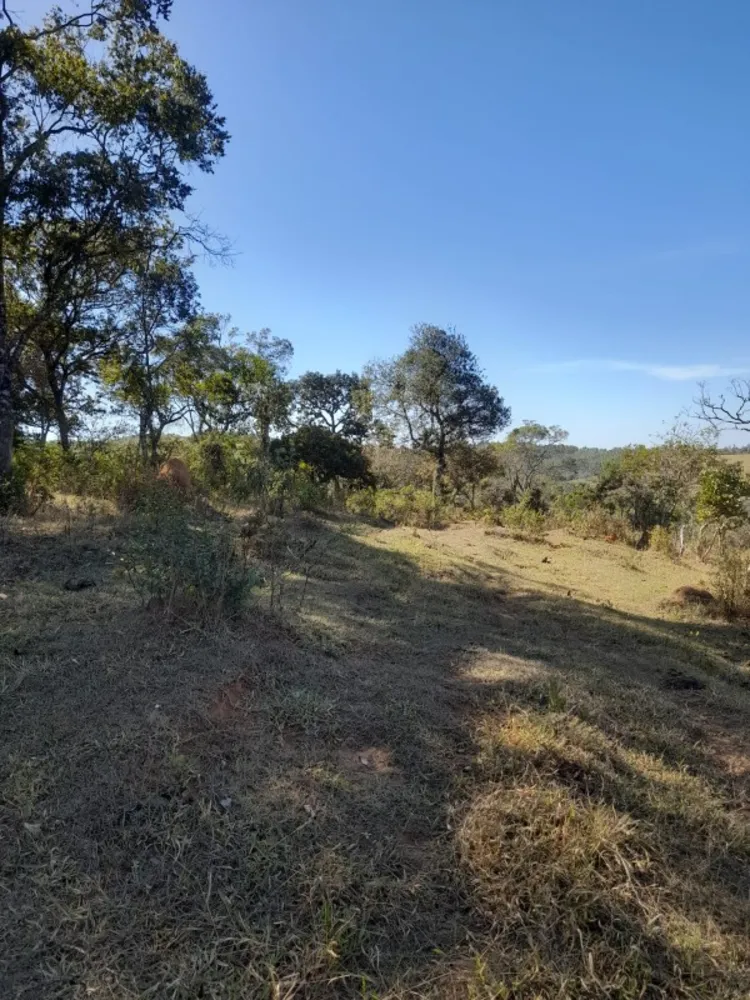 Terreno, 9 hectares - Foto 19