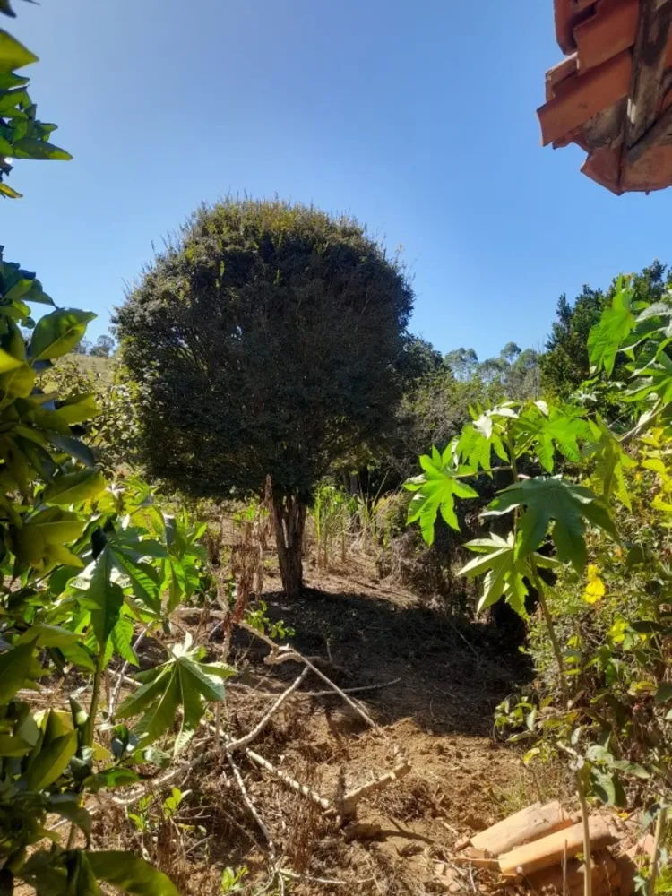 Terreno, 9 hectares - Foto 9