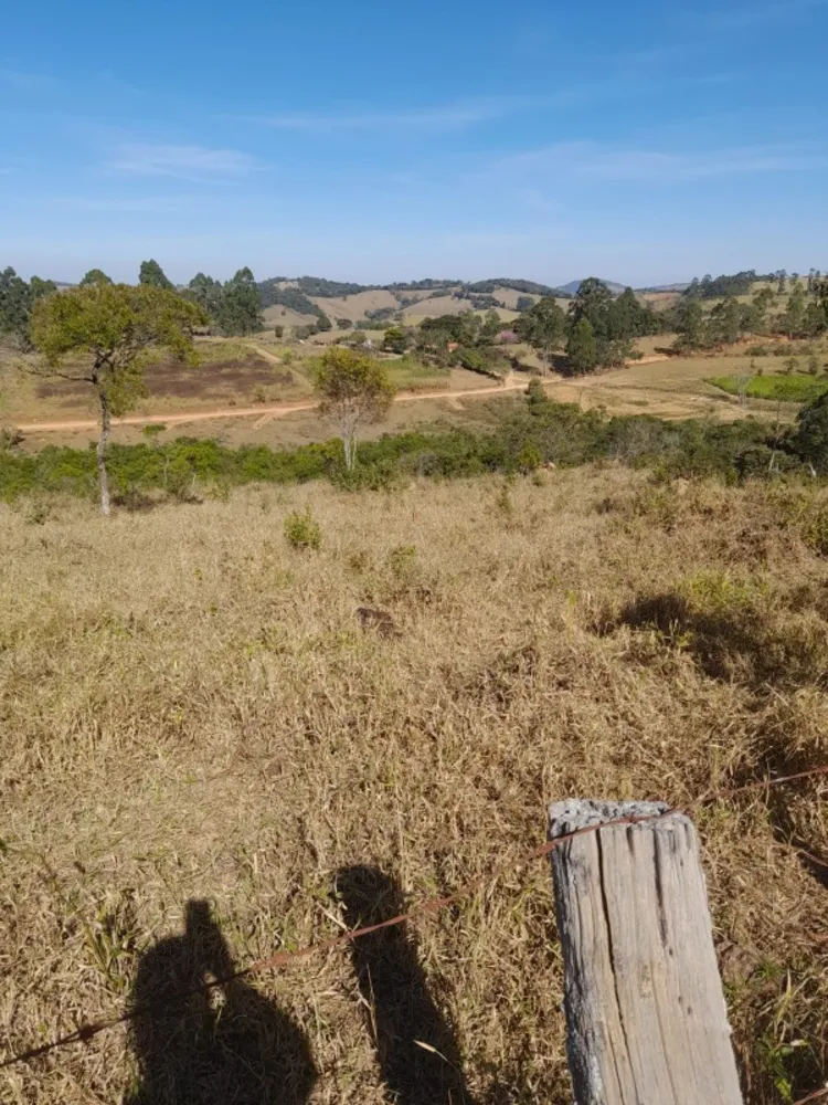 Terreno, 9 hectares - Foto 13