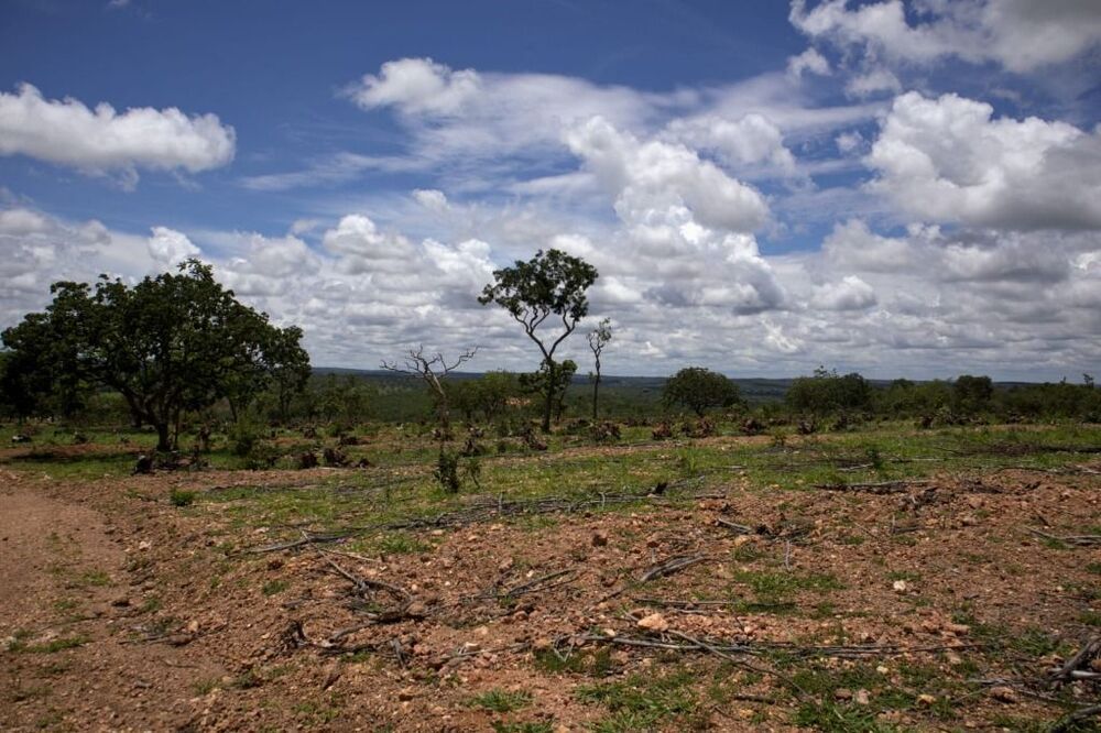 Terreno à venda - Foto 3