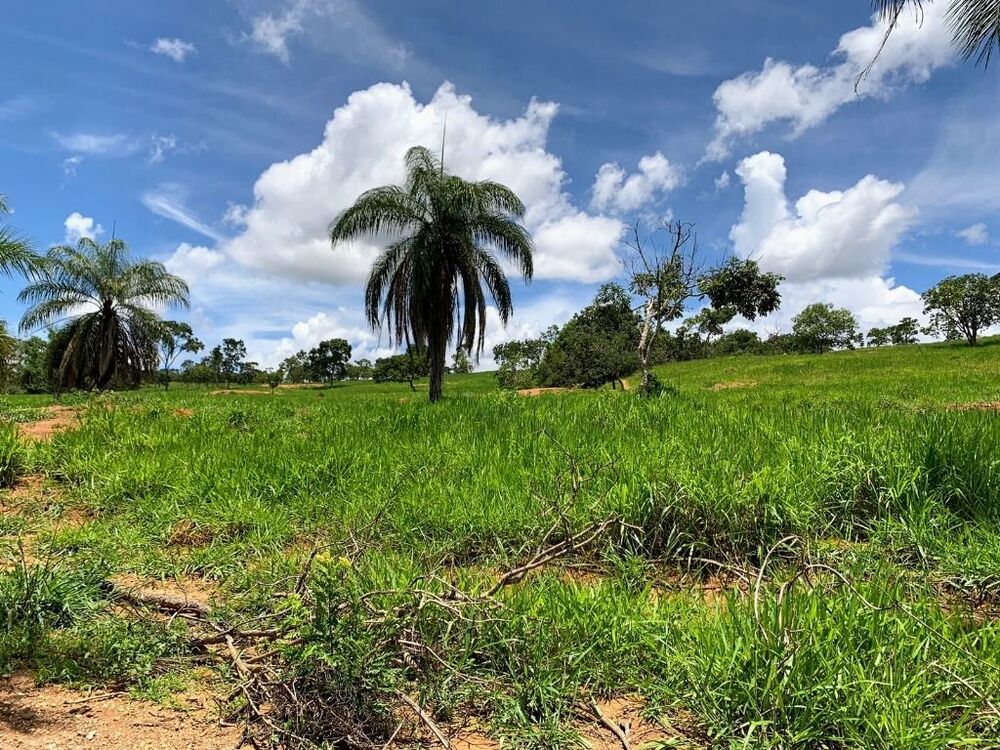 Terreno à venda - Foto 2
