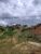 Terreno, 700 m² - Foto 4