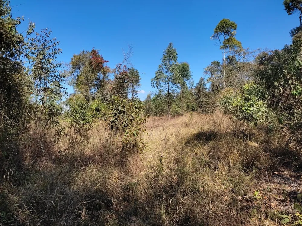 Terreno, 1890000 m² - Foto 10
