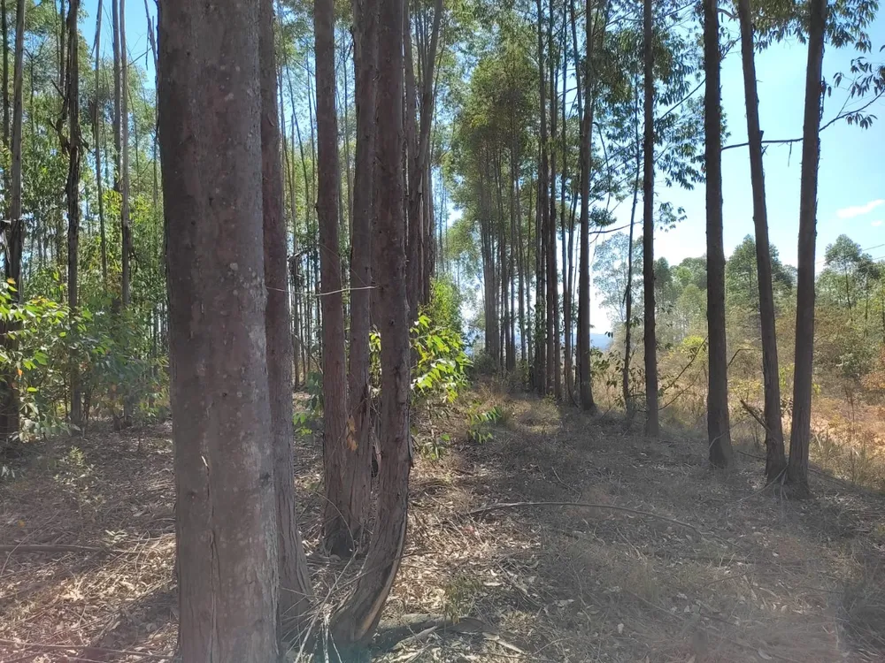 Terreno, 1890000 m² - Foto 8