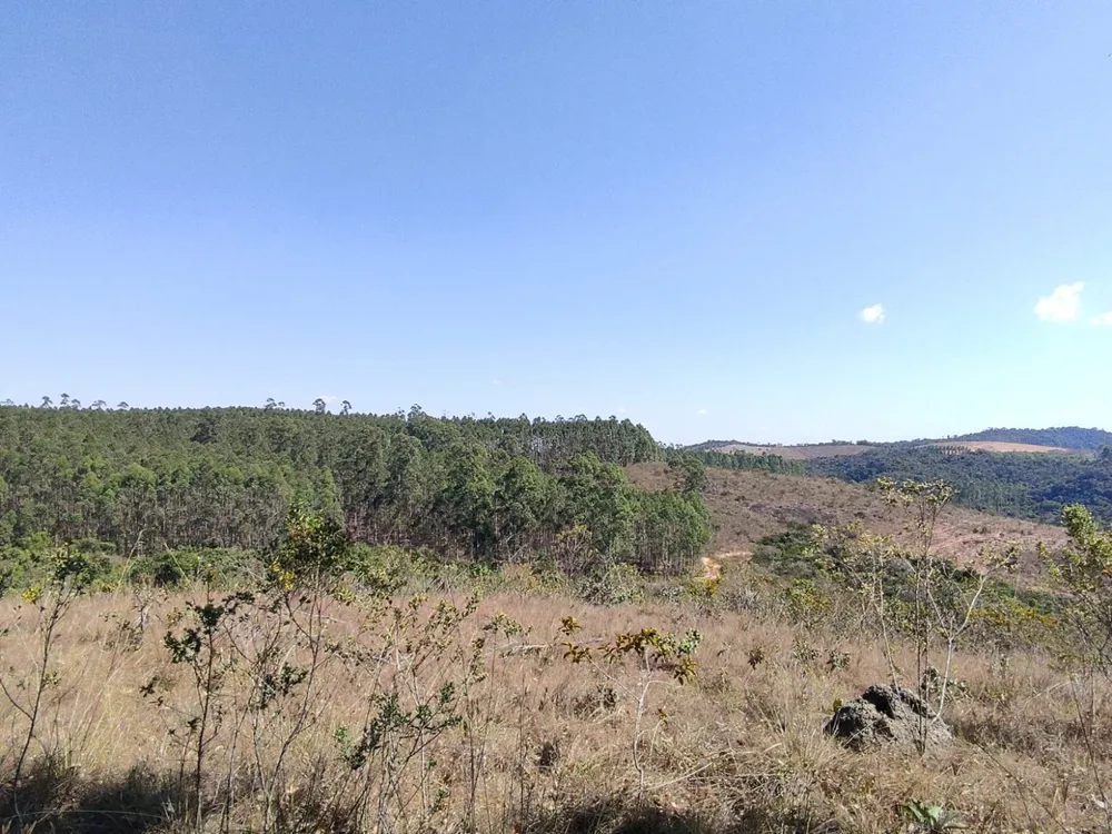 Terreno, 1890000 m² - Foto 4