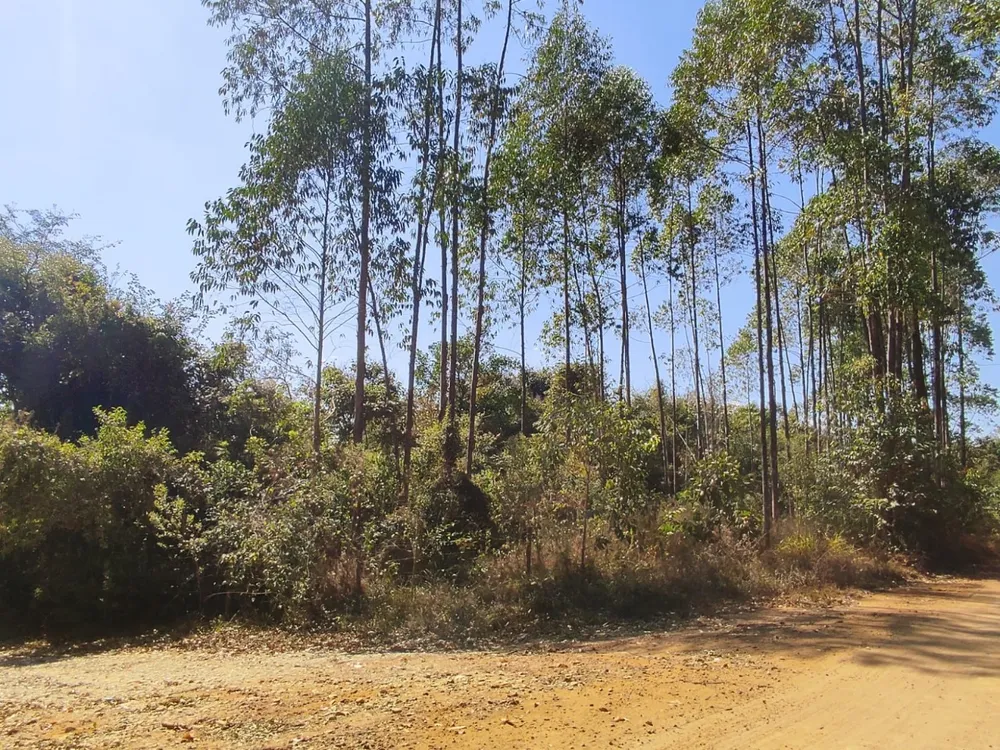 Terreno, 1890000 m² - Foto 12