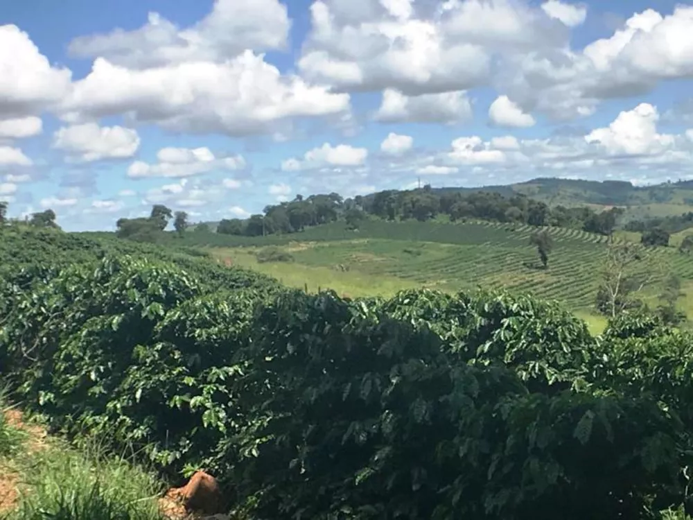 Chácara à venda com 1 quarto, 360000m² - Foto 3