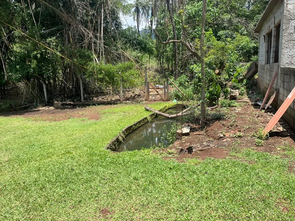 Chácara, 4 quartos, 2 hectares - Foto 7
