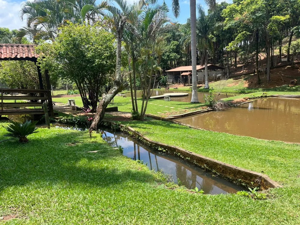 Chácara, 4 quartos, 2 hectares - Foto 6