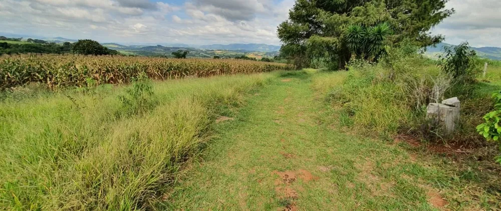 Terreno, 40 hectares - Foto 9