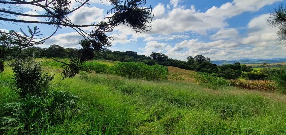 Terreno, 40 hectares - Foto 4