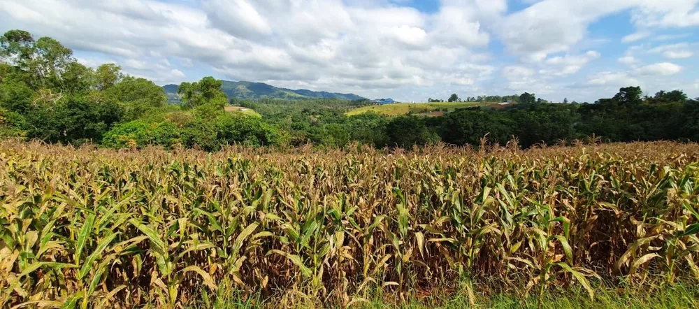 Terreno, 40 hectares - Foto 7