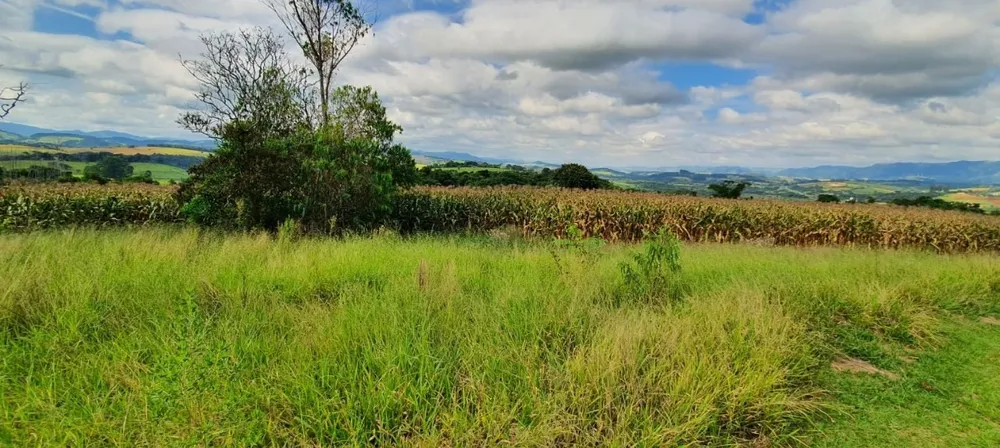 Terreno, 40 hectares - Foto 10