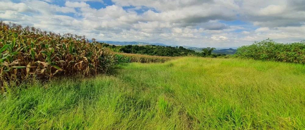Terreno, 40 hectares - Foto 8