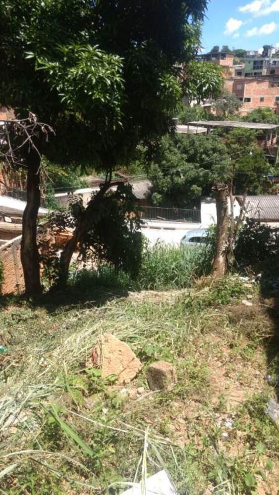 Terreno à venda, 420m² - Foto 4