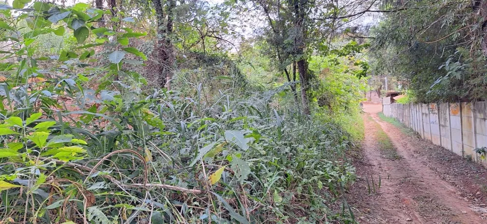 Terreno, 780 m² - Foto 7