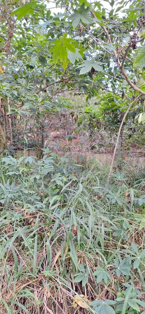 Terreno, 780 m² - Foto 8