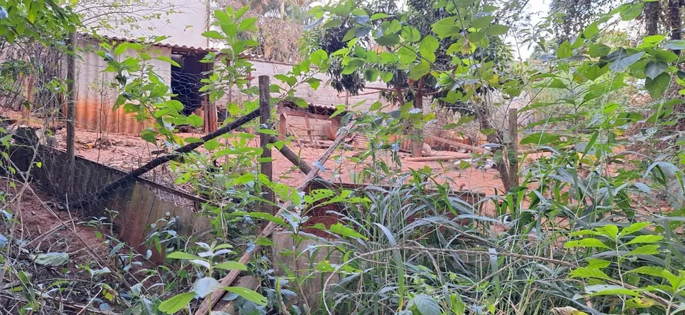 Terreno, 780 m² - Foto 4