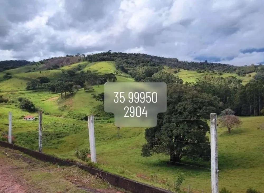 Fazenda, 157 hectares - Foto 9