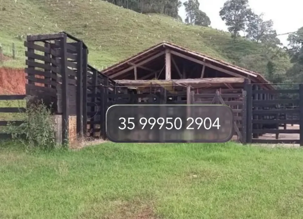 Fazenda, 157 hectares - Foto 8
