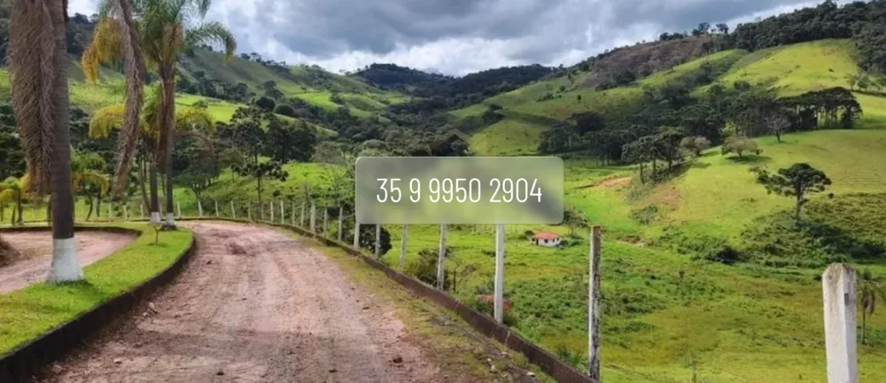 Fazenda, 157 hectares - Foto 1