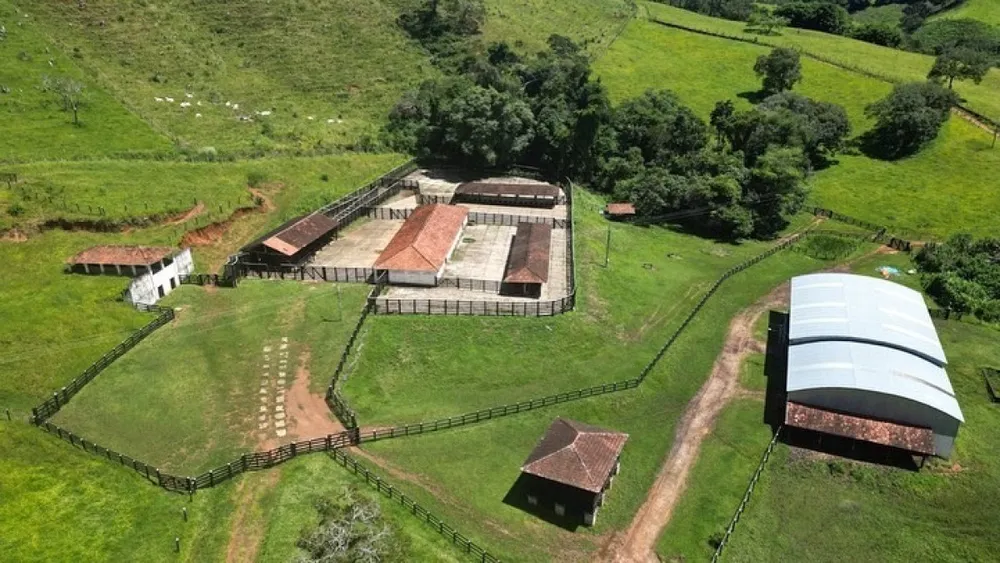 Fazenda, 157 hectares - Foto 3