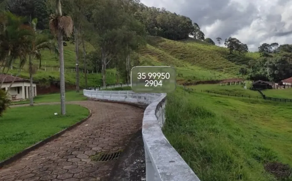 Fazenda, 157 hectares - Foto 6