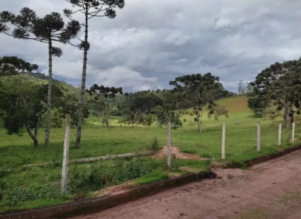 Fazenda, 157 hectares - Foto 11