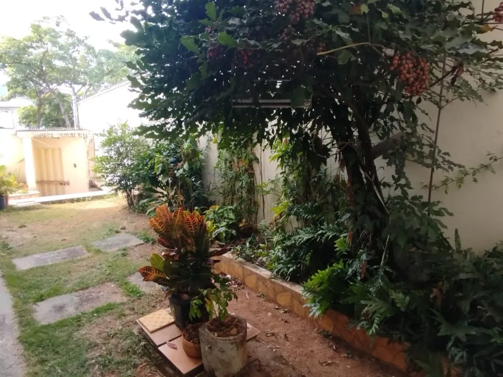Casa, 4 quartos, 240 m² - Foto 6