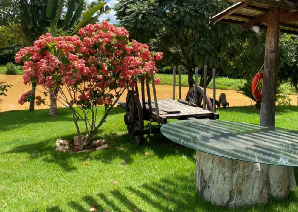 Chácara, 5 quartos, 3 hectares - Foto 8